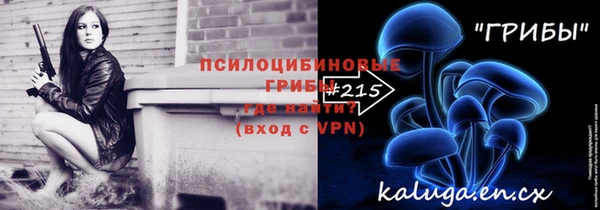таблы Надым