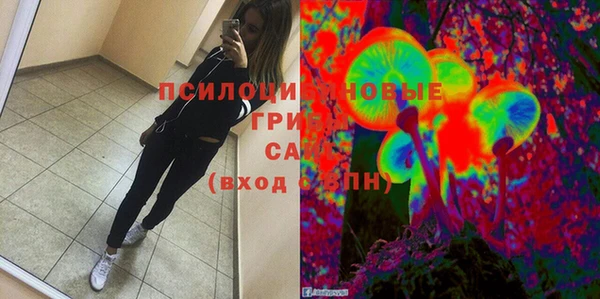дурь Наволоки