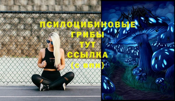 таблы Надым